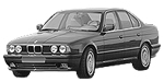 BMW E34 P229E Fault Code